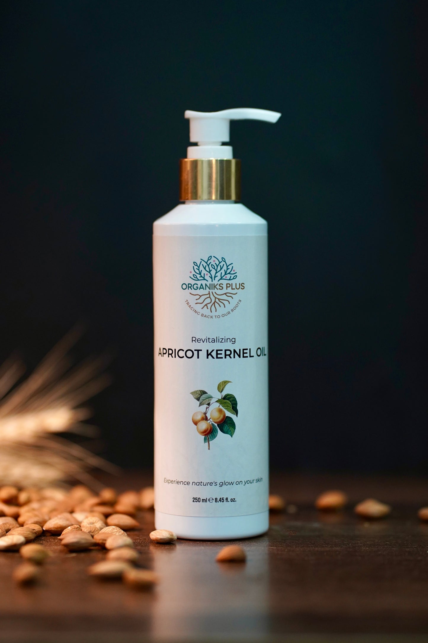 Apricot Kernel Oil – Cold Extracted