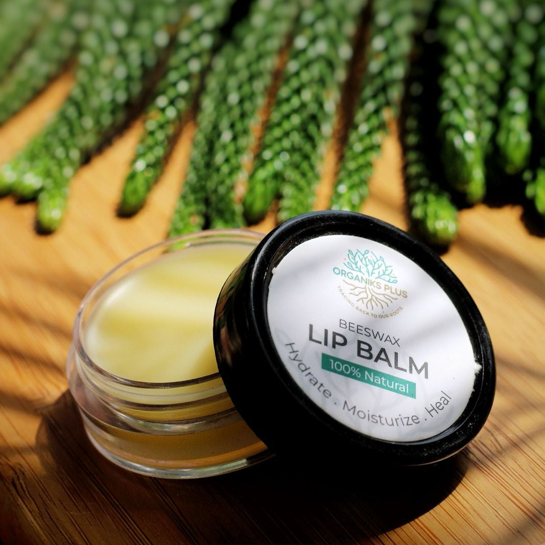 Lip balm container with green leafy background