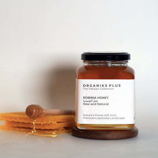 Jar of Organiks Plus Robinia Honey with a honey dipper on a light background.