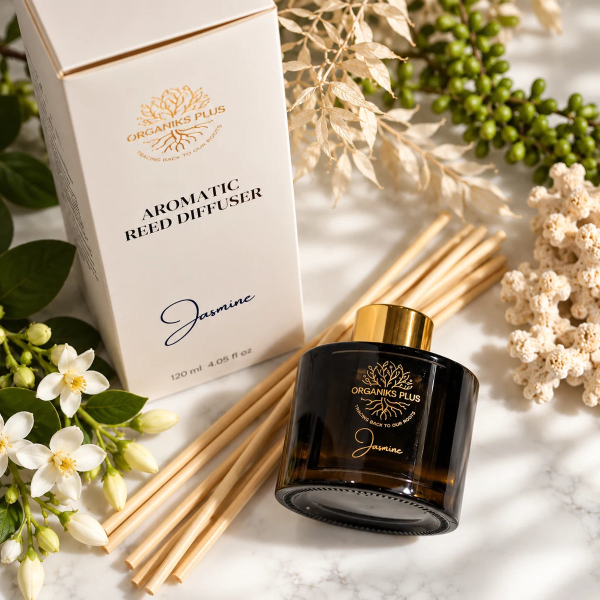 Organiks Plus Jasmine reed diffuser 120 ml flat lay with gold-ring bottle, presentation box, reed sticks and jasmine flowers