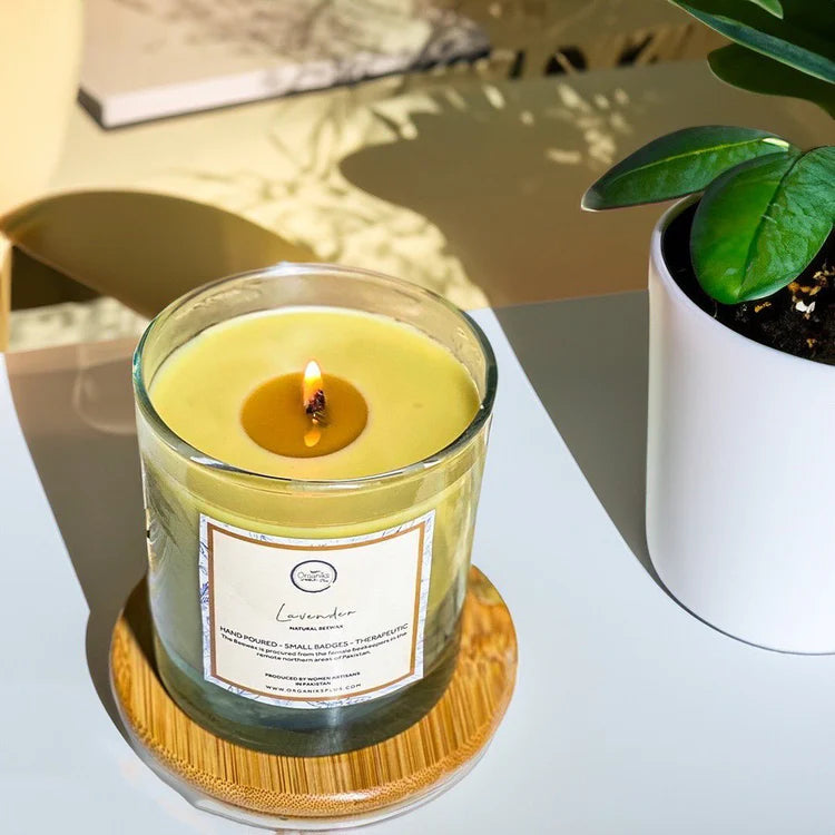 Organiks Plus lavender beeswax candle glowing softly – natural scentual escape for your home.