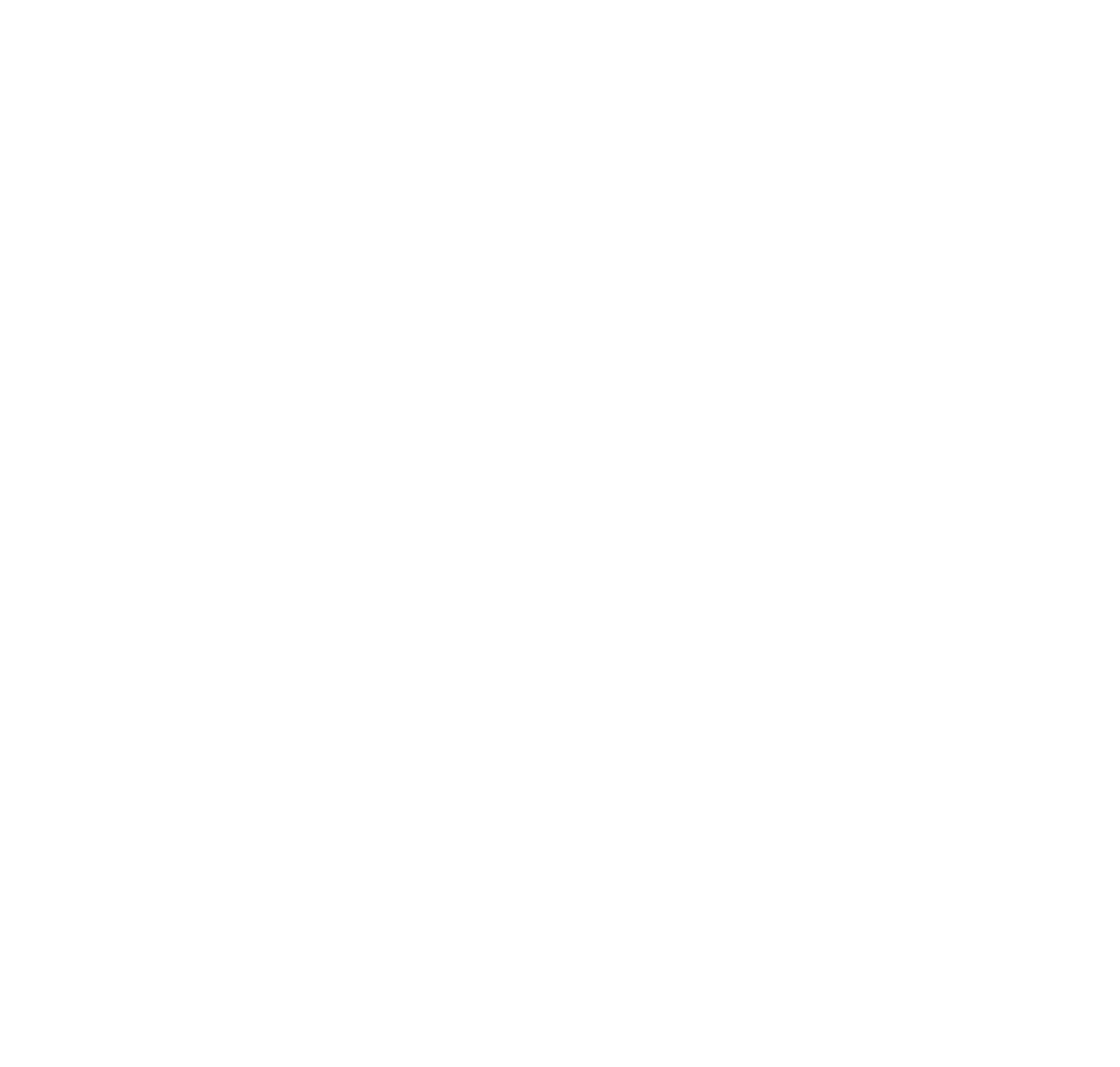 Organiks Plus – No Pesticides and Preservatives badge